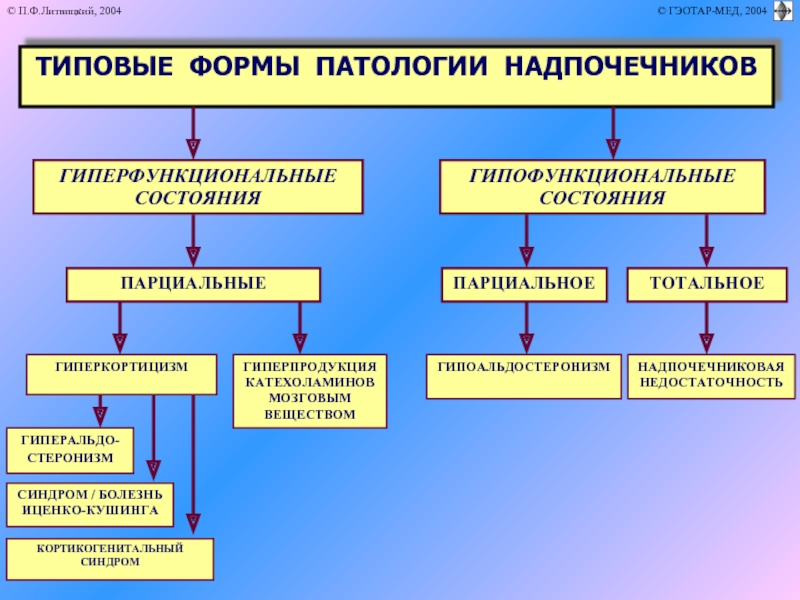 Патофизиология надпочечников презентация