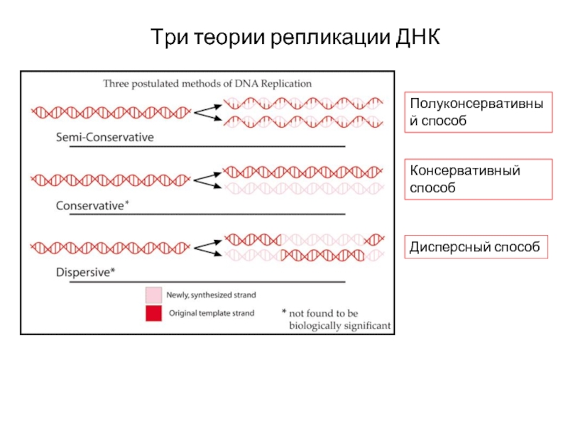 Пример репликации