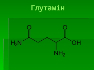 Амінокислоти. Глутамін