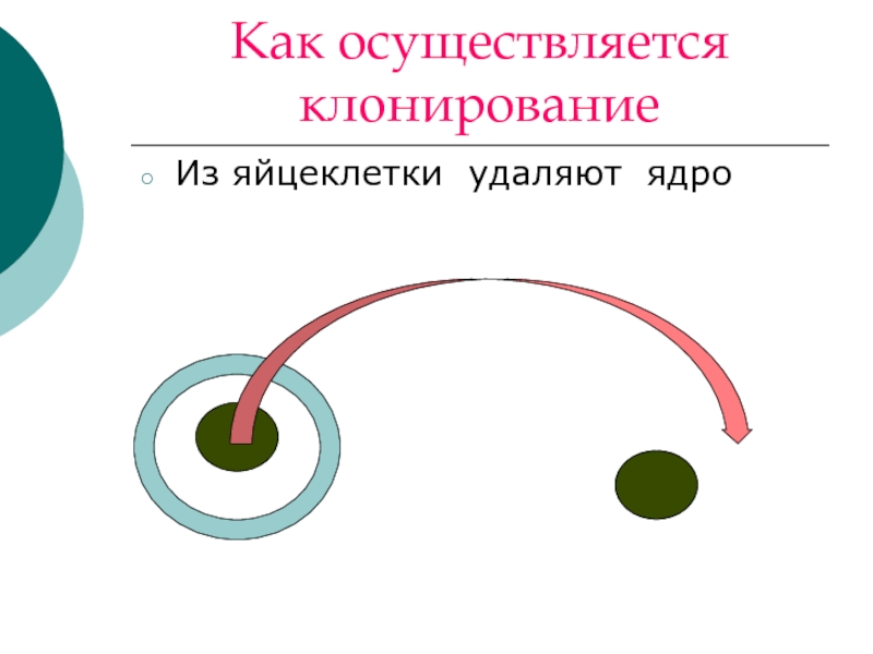 Клонирование терапевтическое схема