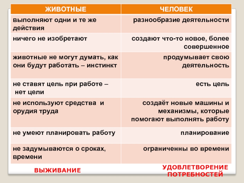 Чем отличается труд. Таблица труд человека и животного. Сравнение человекаии животного. Отличия труд человека и животных. Различие между животными и человеком таблица.