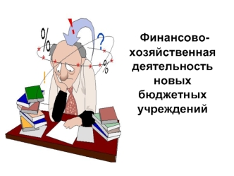 Финансово-хозяйственная деятельность  новых бюджетных учреждений