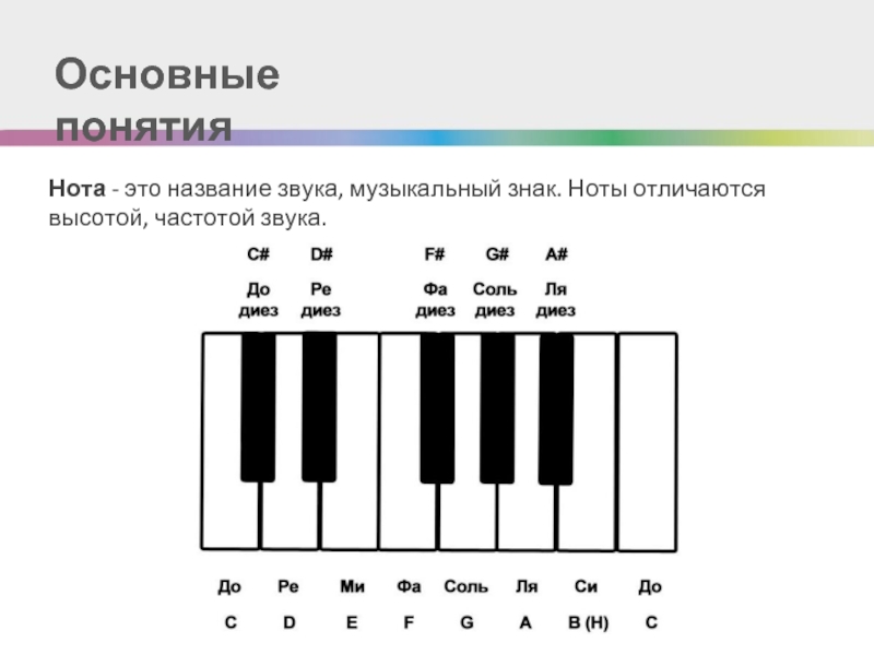 Какие бывают ноты картинки