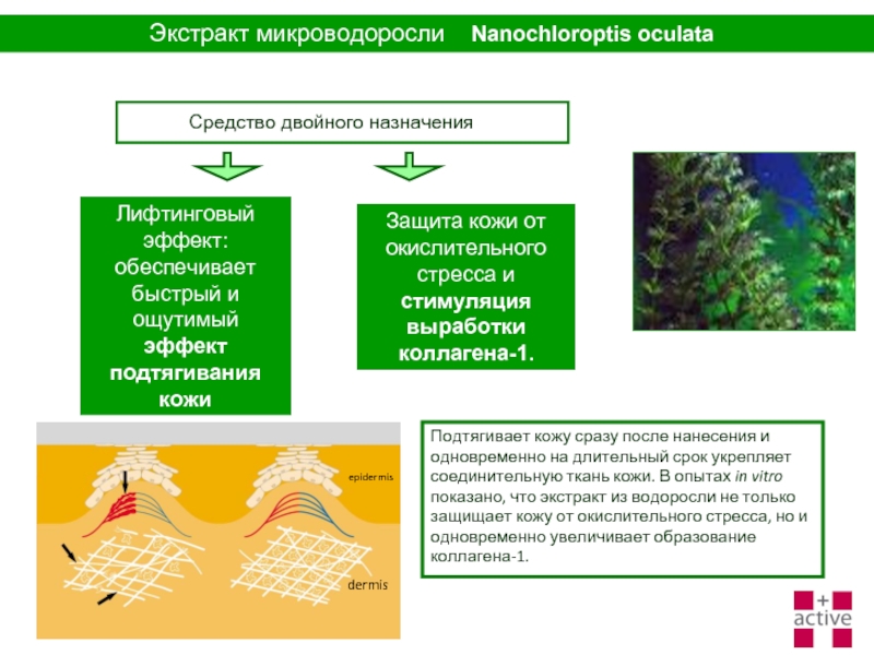 Эффект обеспечен