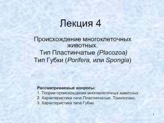 Происхождение многоклеточных животных. (Лекция 4)