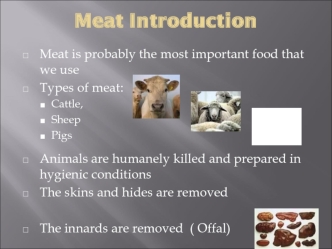 Food commodities. Meat