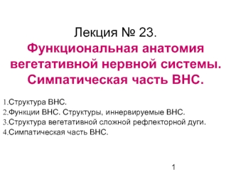 Функциональная анатомия вегетативной нервной системы. Симпатическая часть ВНС (лекция № 23)