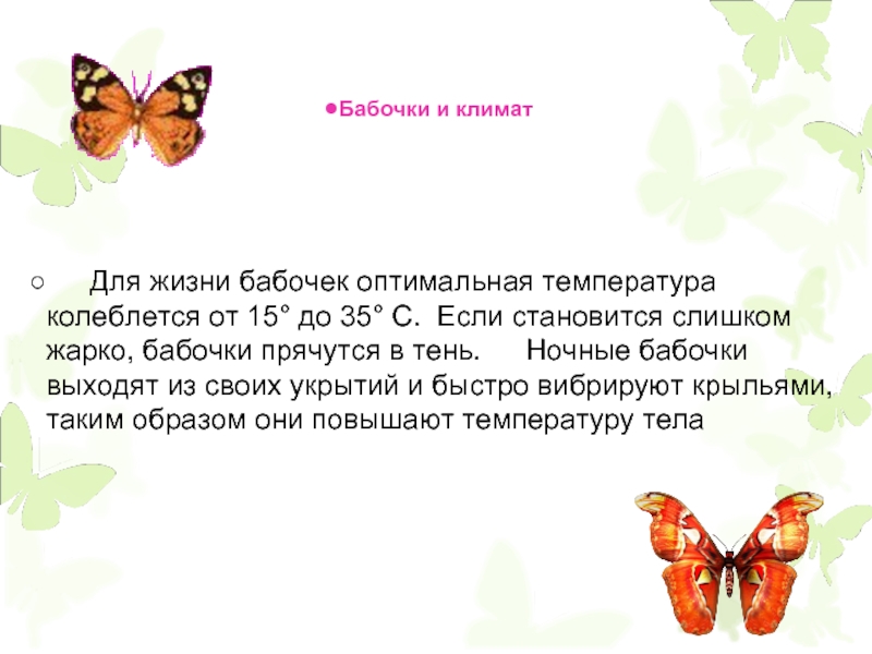 День изучения бабочки. Жизнь бабочки. Образ жизни бабочек. Интересные факты о бабочках для детей. Роль бабочек.