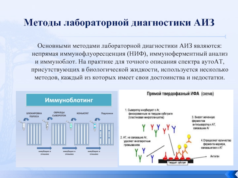 Анализ мора