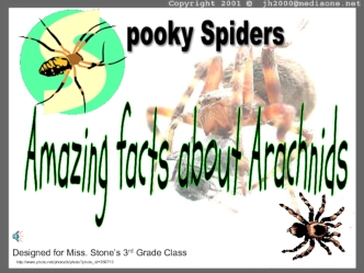 Spooky Spiders