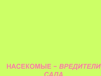 Насекомые – вредители сада