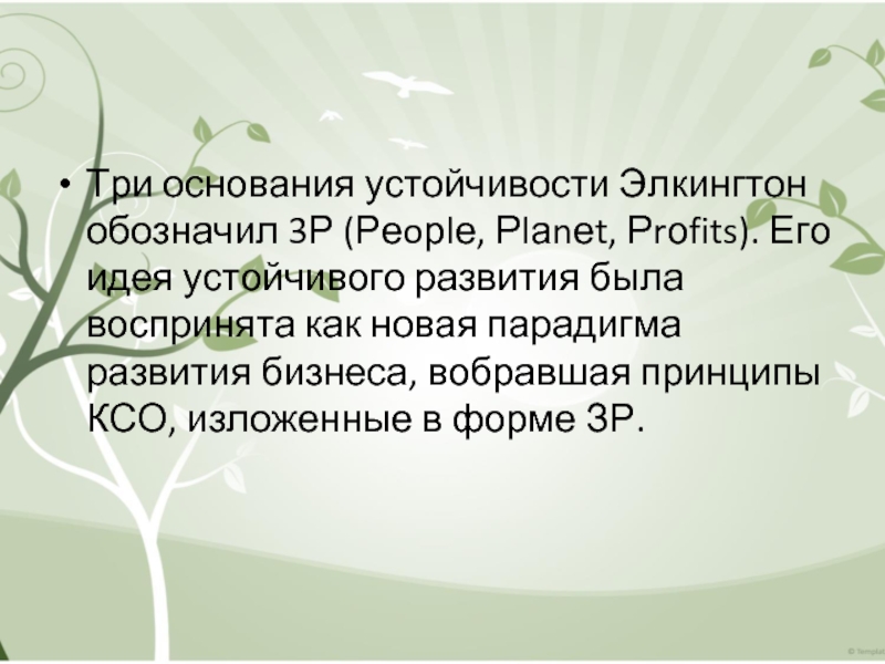 Три основания устойчивости Элкингтон обозначил 3Р (Реoрlе, Рlаnеt, Рrоfits). Его идея устойчивого развития была воспринята как