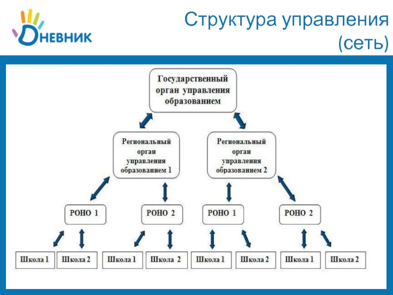 Состав сетей. Органы управления сети. Сетевое управление и иерархия. Структура сети управляющей компании. Структура управления Связной.