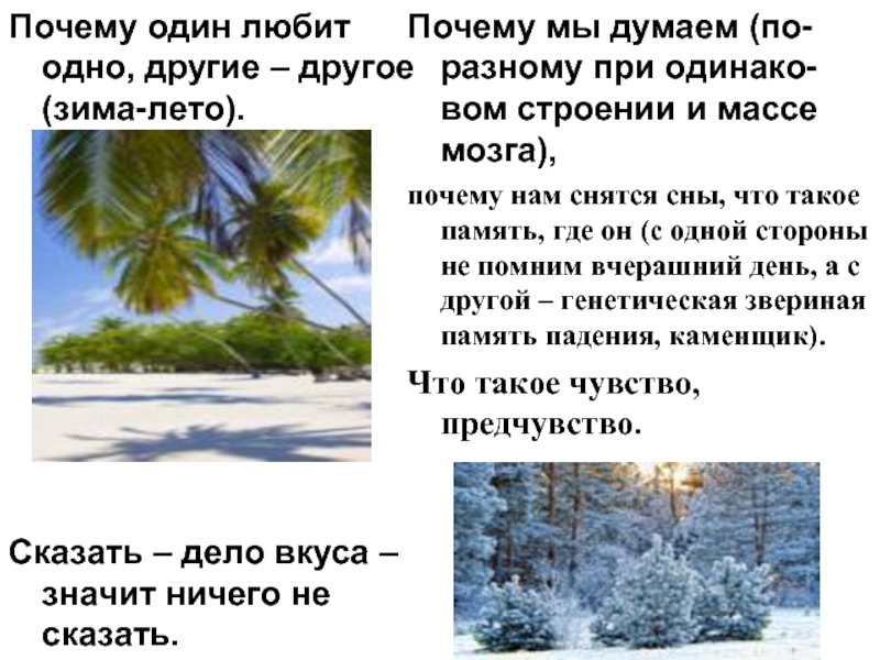 Зима во сне летом. Почему когда в одном месте лето в другом зима.