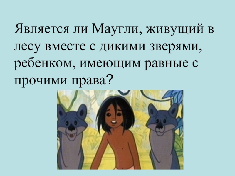 План по сказке маугли