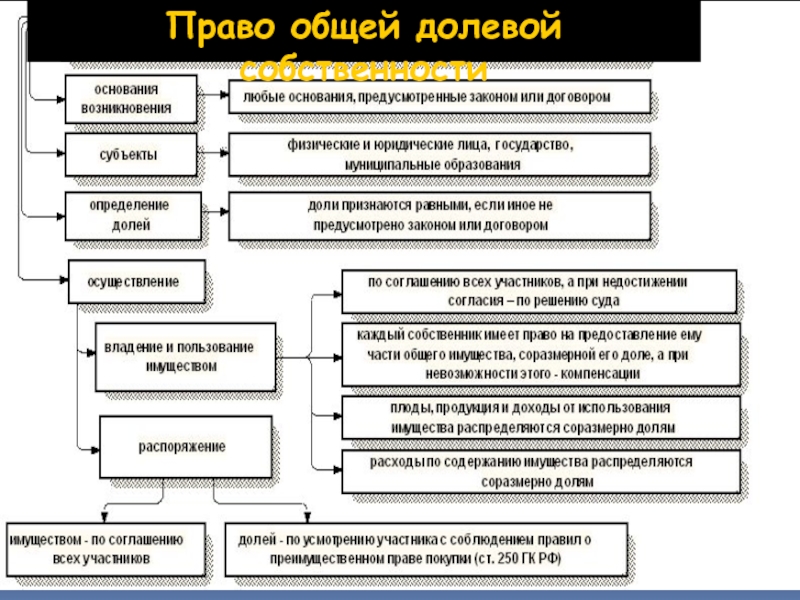 Схема виды общей собственности