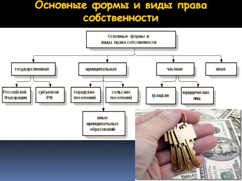 1 право собственности. Виды собственности в гражданском праве. В ды права собственности. Формы права собственности. Виды права собственности таблица.