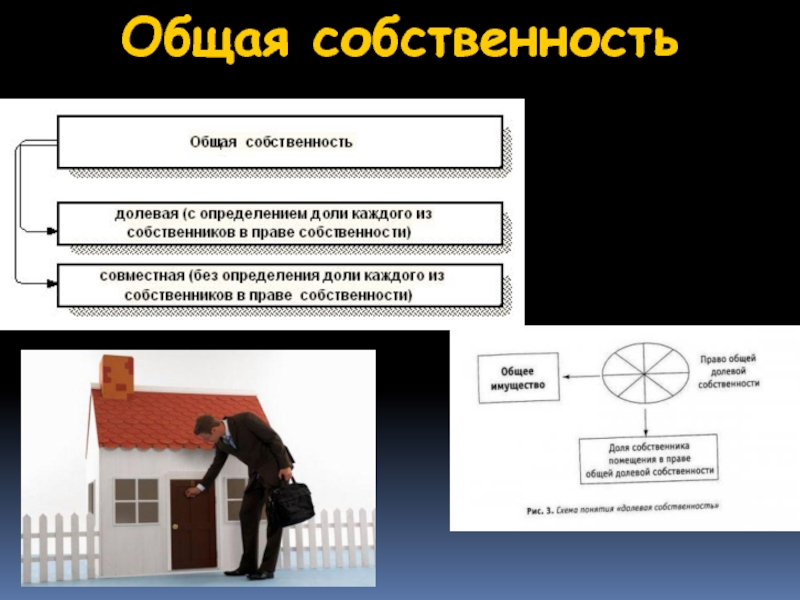 Право общей собственности презентация