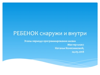 Ребенок снаружи и внутри. Этапы периода программирования жизни. Мастер-класс