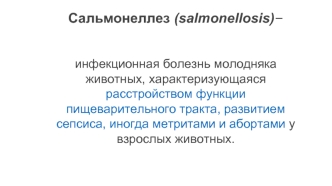 Сальмонеллез у мелких животных