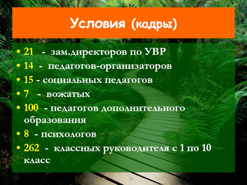 Условия (кадры)21  - зам.директоров по УВР14 - педагогов-организаторов15 - социальных