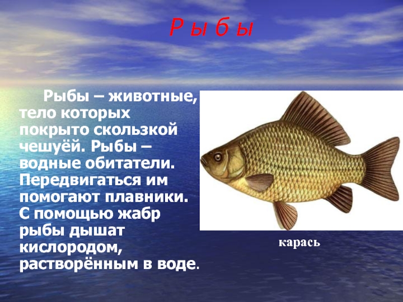 Чем дышат рыбы под водой кислородом. Водные животные тело которых покрыто чешуей. Тело рыбы. Чем покрыто тело рыбы. Тело покрыто чешуей.