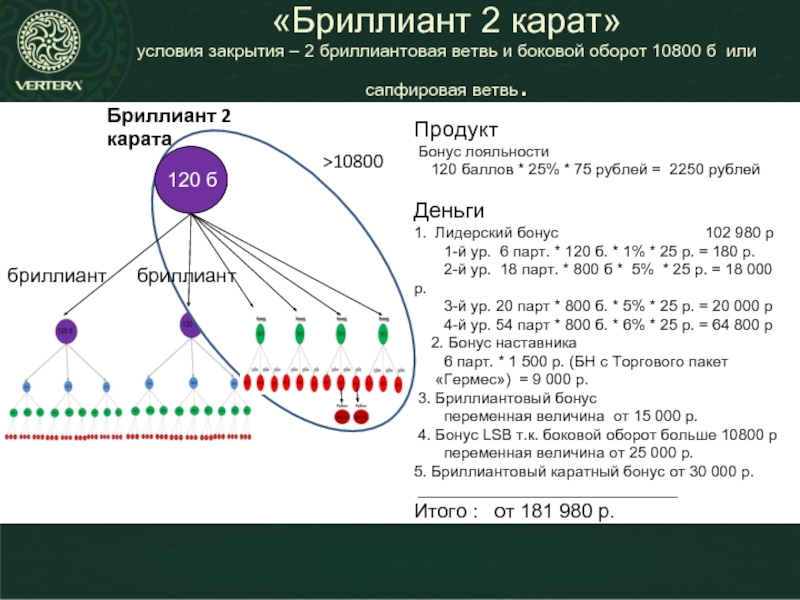 102 980. Схема приема ДРР Вертера. ЛР 120 баллов.