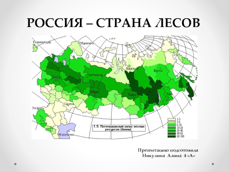 Карта хвойных лесов россии