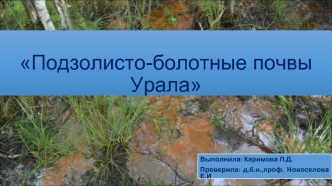 Подзолисто-болотные почвы Урала