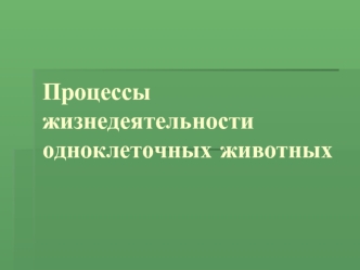 Процессы жизнедеятельности одноклеточных животных