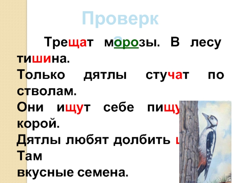 Сороки трещат или пищат. Трещат Морозы в лесу тишина только дятлы. В лесу тишина, только дятлы. Стучат дятлы пищат. Морозы трещат или пищат.