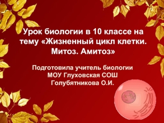 Урок биологии в 10 классе на тему Жизненный цикл клетки. Митоз. Амитоз