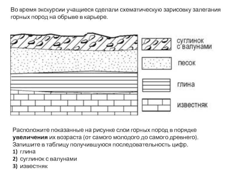 Расположите показанные на рисунке слои горных пород