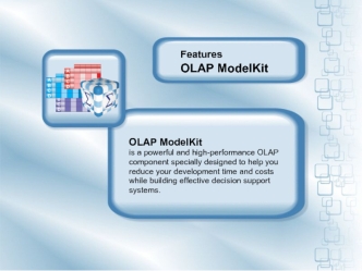 OLAP ModelKit 
is a powerful and high-performance OLAP 
component specially designed to help you 
reduce your development time and costs 
while building effective decision support 
systems.