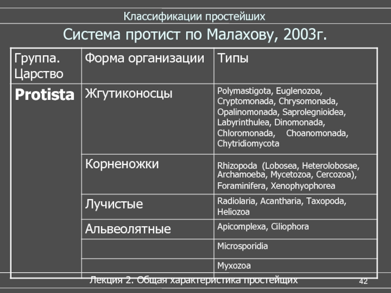 Простейшие классификация. Классификация животных по Малахову 2003 год. Систематика Малахова 2003. Автор классификации. Малахов классификация протистов.