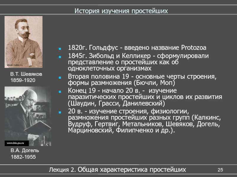 Как называется открытие. История изучения простейших. Мюллер и Келликер. Келликер и Зибольд. Зибольд ученый.