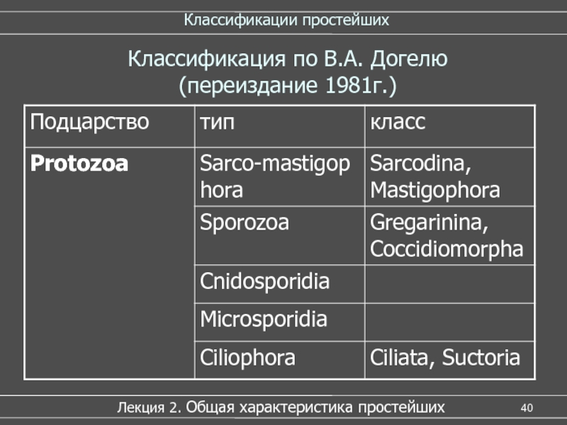 Простейшие классификация. Систематика по Догелю простейшие. Protozoa классификация. Классификация по Догелю. Систематическое положение класса Sarcodina.