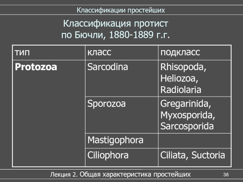 Простейшие классификация. Protozoa классификация. Систематика простейших Бючли. Характеристика типа протозоа. Цилиата классификация.