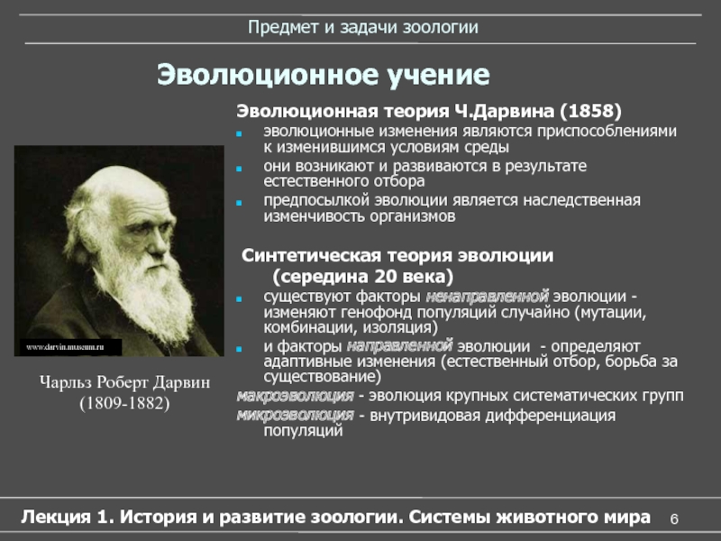 Современную эволюционную теорию согласно учению дарвина можно представить в виде следующей схемы