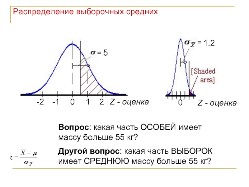 Выборочное распределение. Распределение выборочных средних. Распределение выборочного среднего имеет вид. Теорию выборочных распределений.