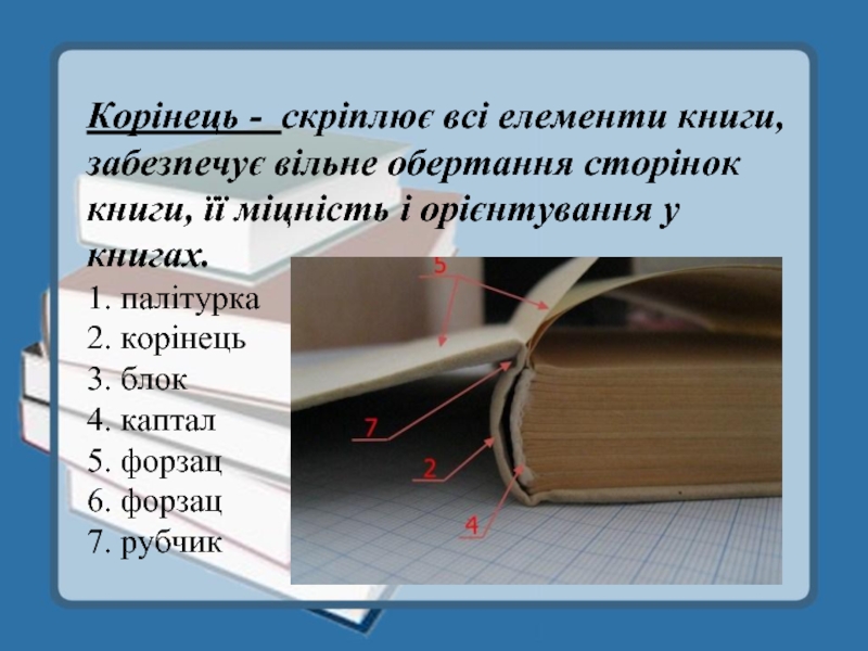 Форзац 5. Рубчик в книге. Корінець в книги. Форзац. Каптал книги это.