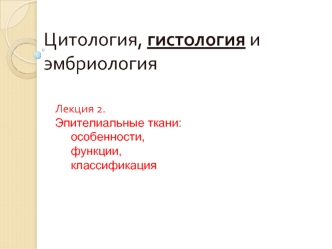 Эпителиальные ткани: особенности, функции, классификация