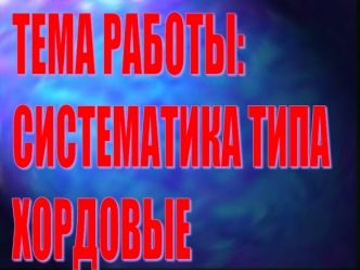 Систематика типа Хордовые