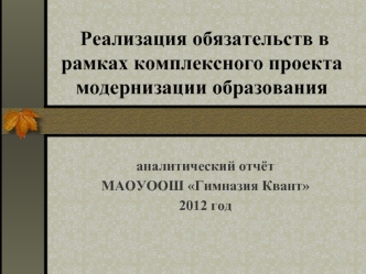 Реализация обязательств в рамках комплексного проекта модернизации образования