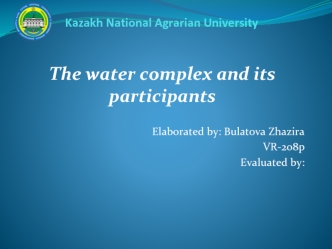 The water complex and its participants