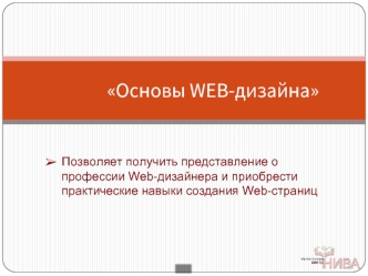 Основы WEB-дизайна