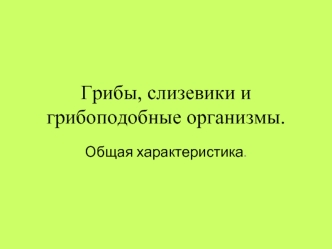 Грибы, слизевики и грибоподобные организмы