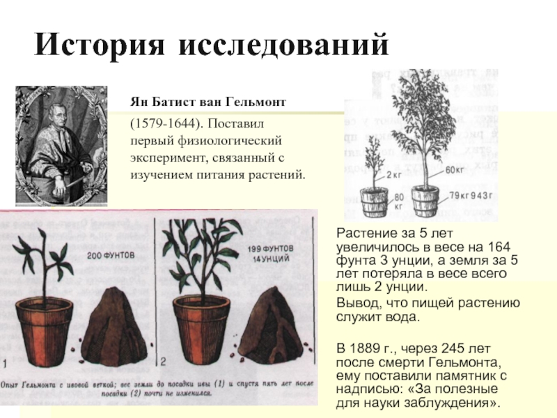 Тема исследования реферат. Опыт Ван Гельмонта фотосинтез. Ван Гельмонт растения. Эксперимент Гельмонта фотосинтез. Ян Ван Гельмонт фотосинтез.