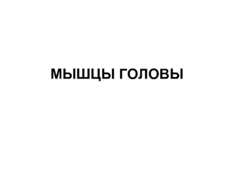 Мышцы головы