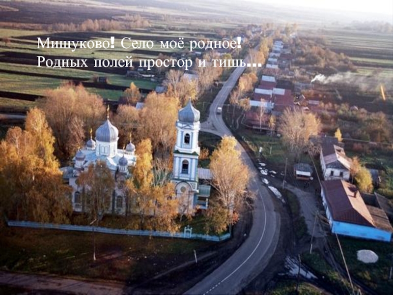 Родная поль. Село Мишуково. Мишуково Касимовский район. Мое село. Деревня Мишуково Рязанской области.